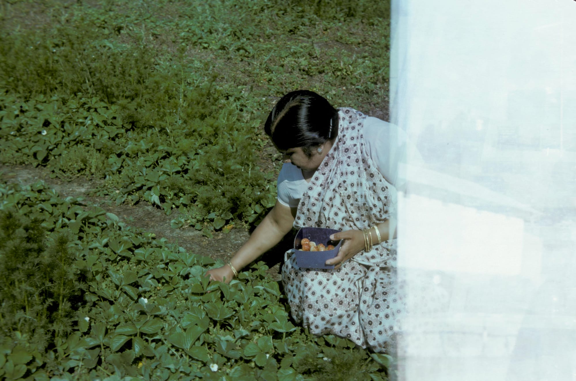 Mataji. Location unknown
