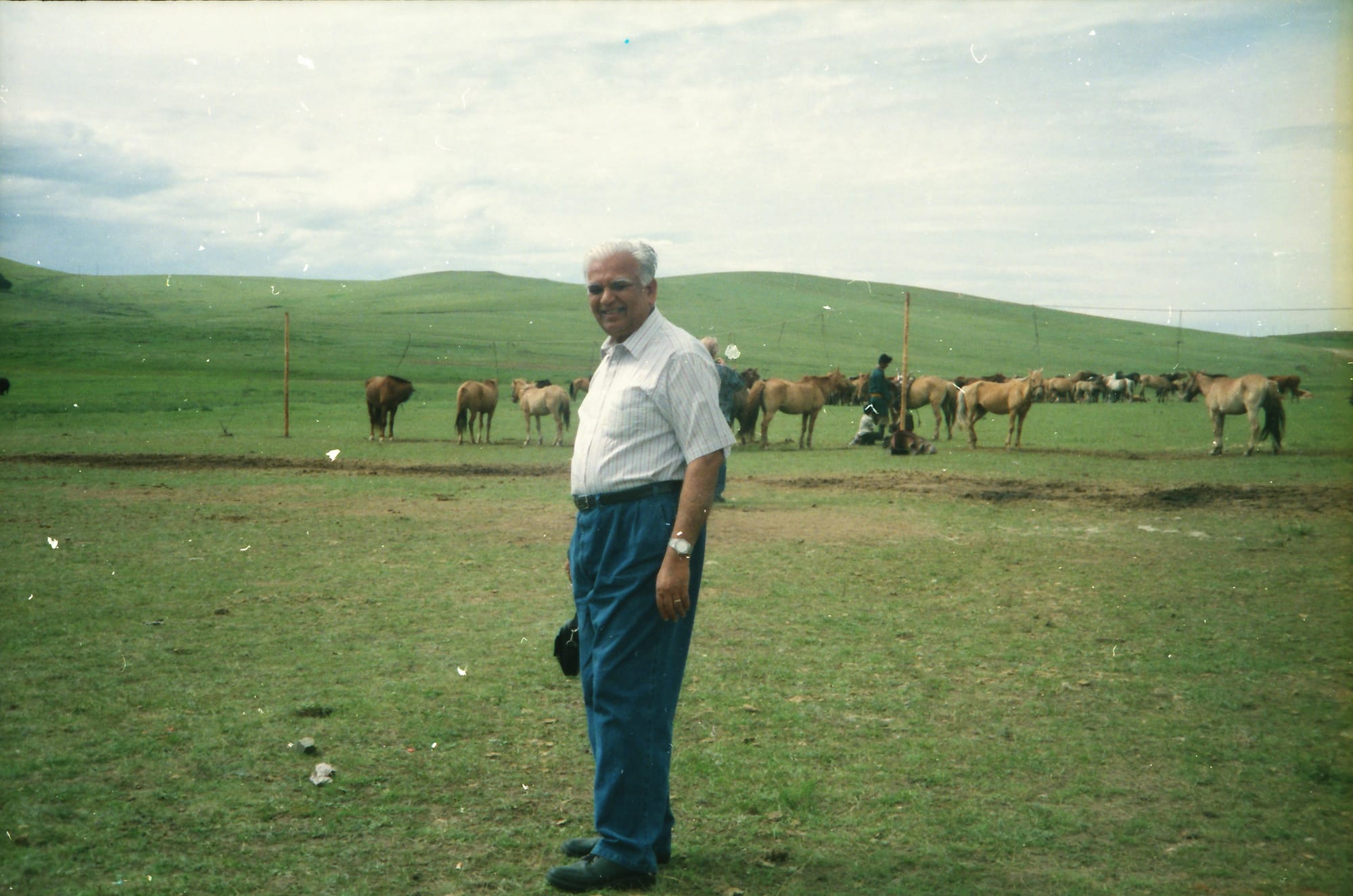 Papaji with a horse herd. A grass steppe, probably Mongolia